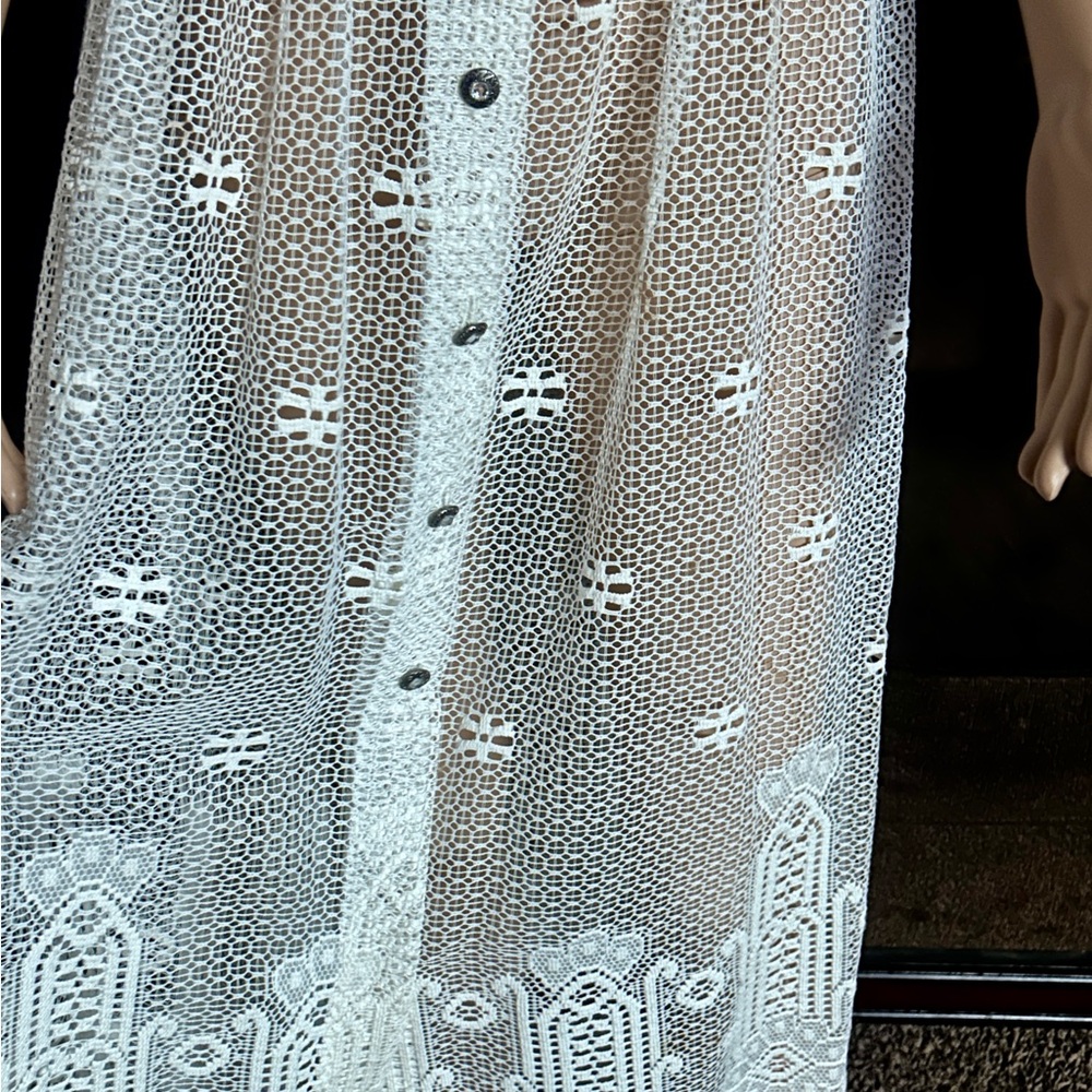 Vintage (1960’s) USA ~ Size 6 ~ Net Floral Lace Edwardian Embroidery Sexy Dress - Picture 12 of 16